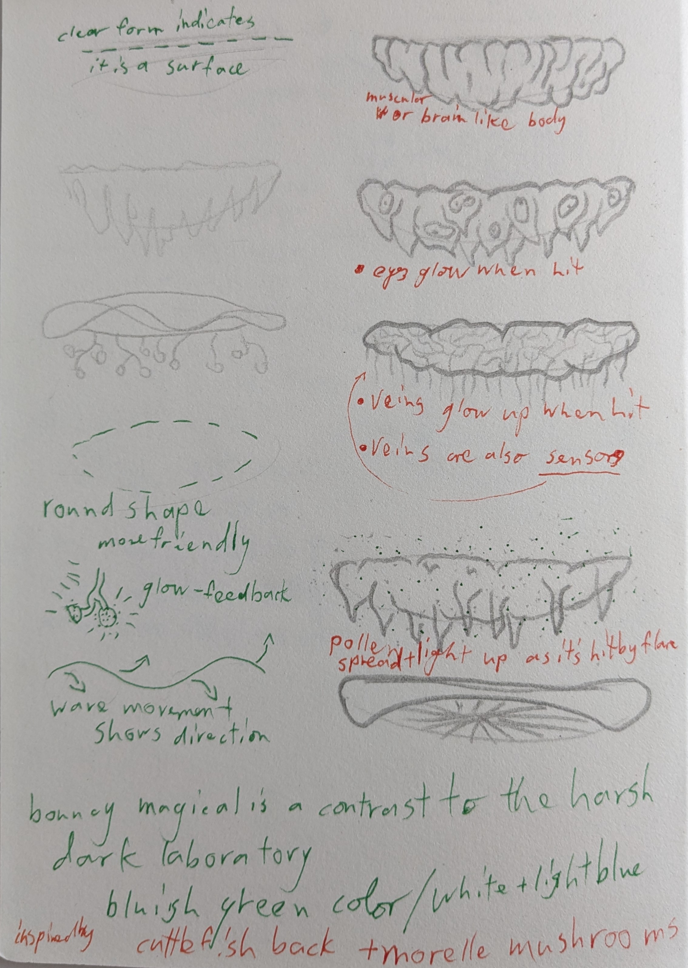 Shine A Way - Enemy Concept - Toni Winkler